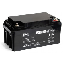 Бастион SKAT SB 1265 ∙ Аккумулятор 12В 65 А∙ч (2541)