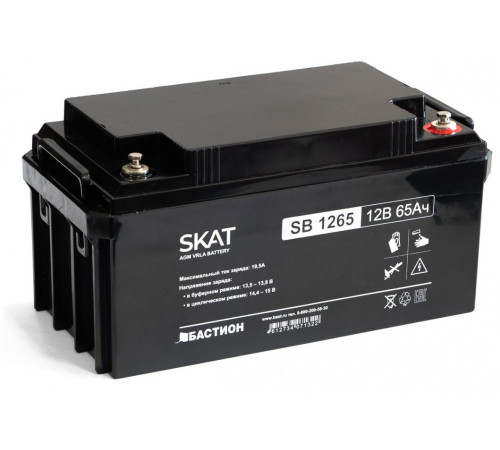 Бастион SKAT SB 1265 ∙ Аккумулятор 12В 65 А∙ч (2541)