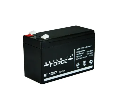 SF 1207 Security Force