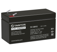 Tantos TS 12012 ∙ Аккумулятор 12В 1,2 А∙ч