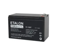 FS 1207 ETALON