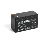 SKAT SB 1209 Бастион