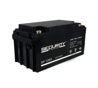 SF 1265 необслуживаемый аккумулятор Security Force