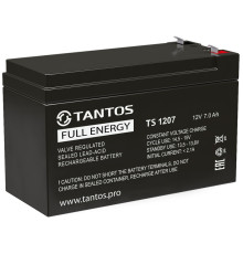 Tantos TS 1207 ∙ Аккумулятор 12В 7 А∙ч