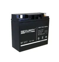 SF 1217 Security Force