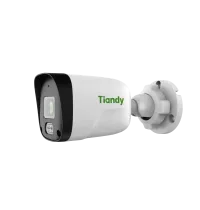 TC-C321N AK/I3W/E/Y/2.8mm/V2.0 Tiandy (серия АК)