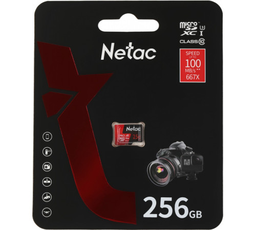Netac NT02P500PRO-256G-S