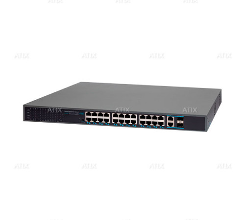 AT-NS-24GP2G-2GS-450 (B)