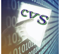 CVS АВТО (лицензия на 2 канала)