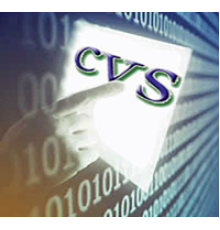 CVS АВТО (лицензия на 2 канала)