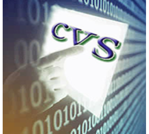 CVS АВТО (лицензия на 2 канала)