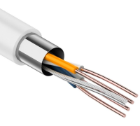 Кабель FTP indoor 2x2x24AWG Light SkyNet 305м