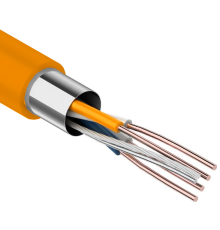 Кабель FTPнг-LSZH Premium 2х2х0,51 SkyNet 305м