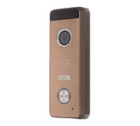 AT-I-D21F Gold